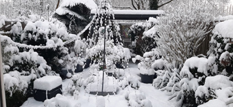 Sneeuw in Nieuwegein